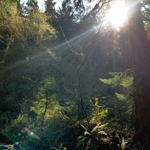 Meet your Posher, Azariah